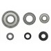Bosch Набор шарикоподшипников для начала обработки (2608629391)